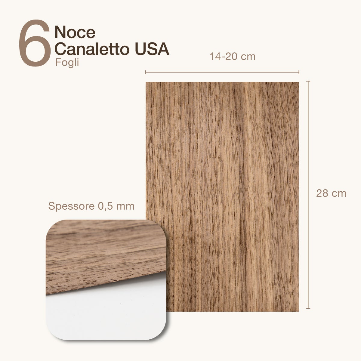 6 FOGLI DI IMPIALLACCIATURA IN LEGNO DI NOCE CANALETTO AMERICANO - 2