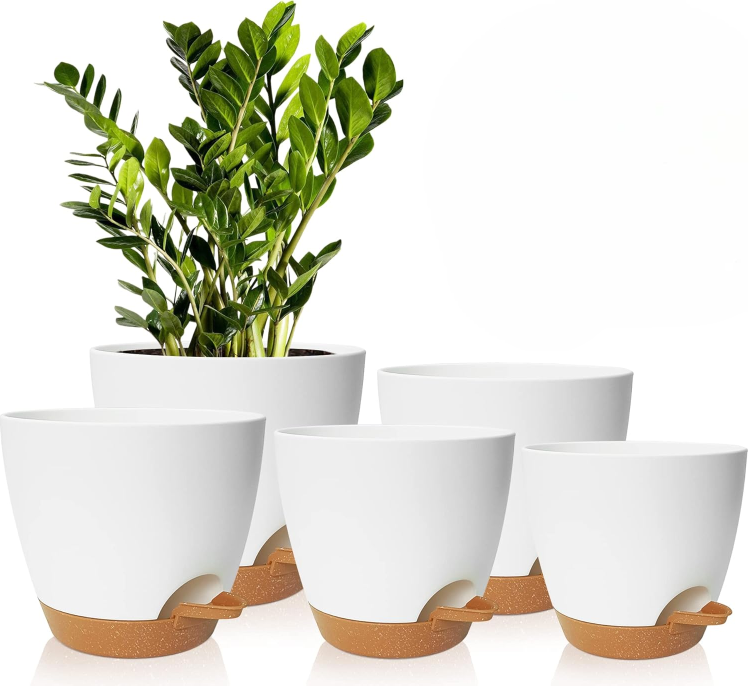 SET DI VASI Vaso da fiori Pianta domestica Terrario Disposizione della