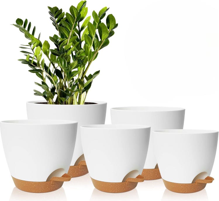 SET DI VASI Vaso da fiori Pianta domestica Terrario Disposizione della SET DI VASI Vaso da fiori Pianta domestica Terrario Disposizione della