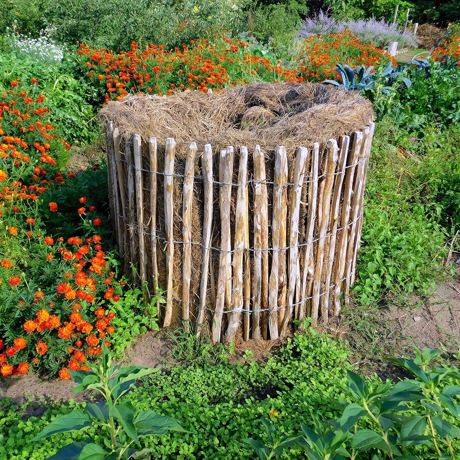 BOGATECO Clôture à piquets noisette châtaignier | Clôture en bois de 120 cm de haut et 500 cm de long | Espacement des lattes 7-8 cm | Durable - 12