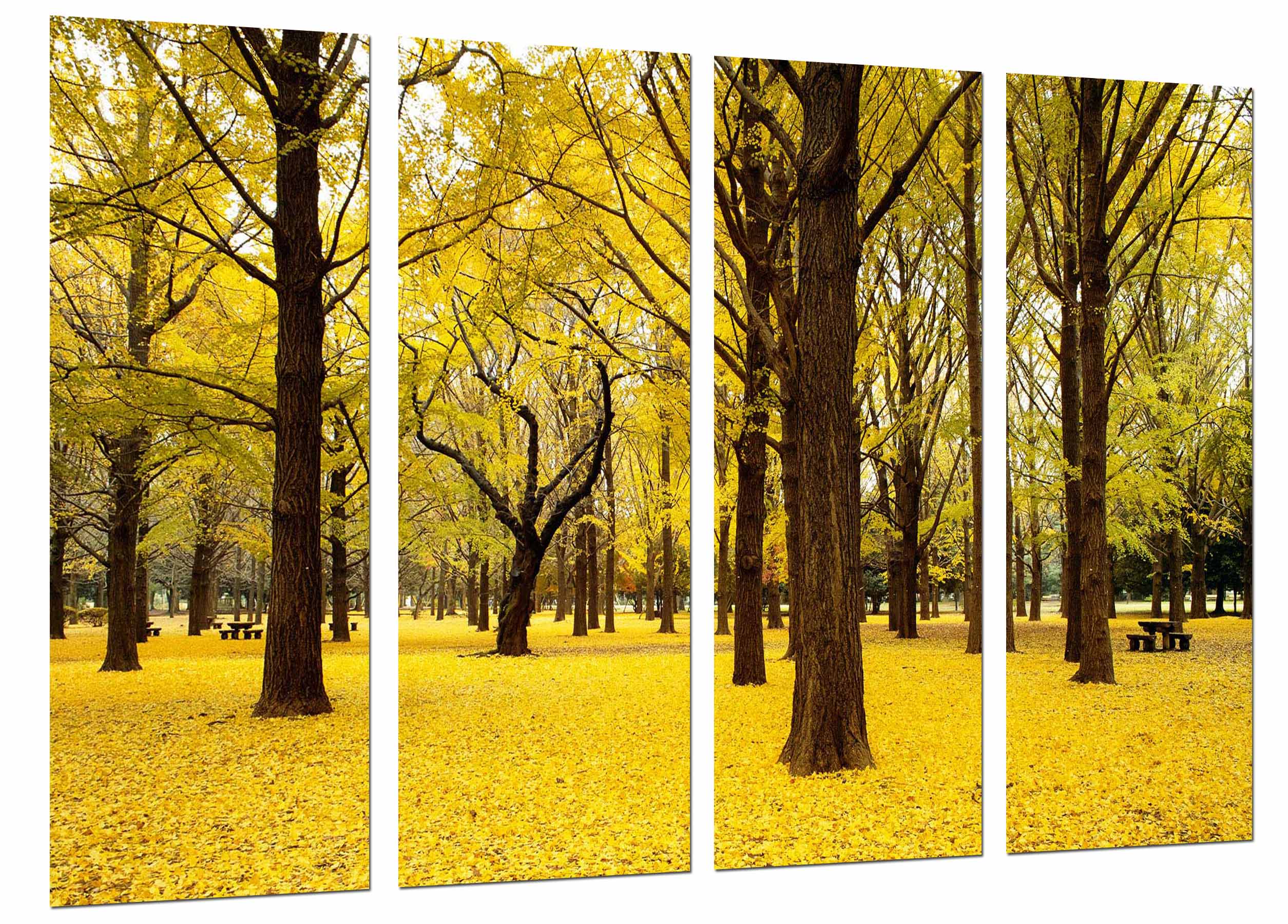 Bosque en el otoño, bosque amarillo, impresión fotográfica sobre madera, cuadro moderno decorativo