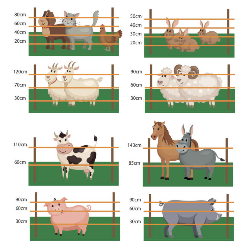 FIL DE CLÔTURE ÉLECTRIQUE Clôture Électrifiée 500 MT 6 Mm² Pour Animaux Chevaux Chiens Sangliers Vaches Porcs Poules Gemi Elettronica - 4