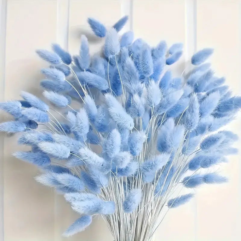 Un bouquet de 60 fleurs de pampa roses séchées — une décoration ...