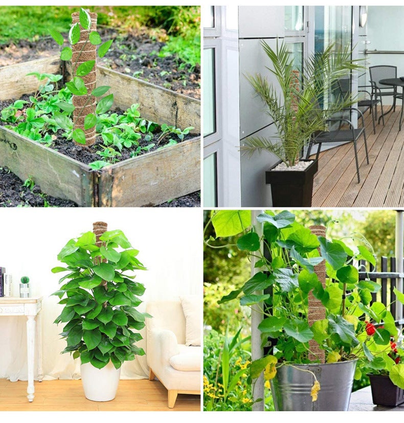 4pcs tige de mousse, tige de mousse de noix de coco pour plantes grimpantes, support extensible réutilisable pour plantes à fleurs 30 cm - 5