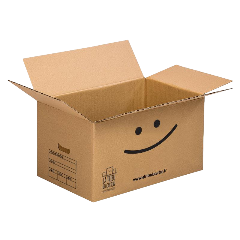 Pack 10 cartons standard avec poignées - 3