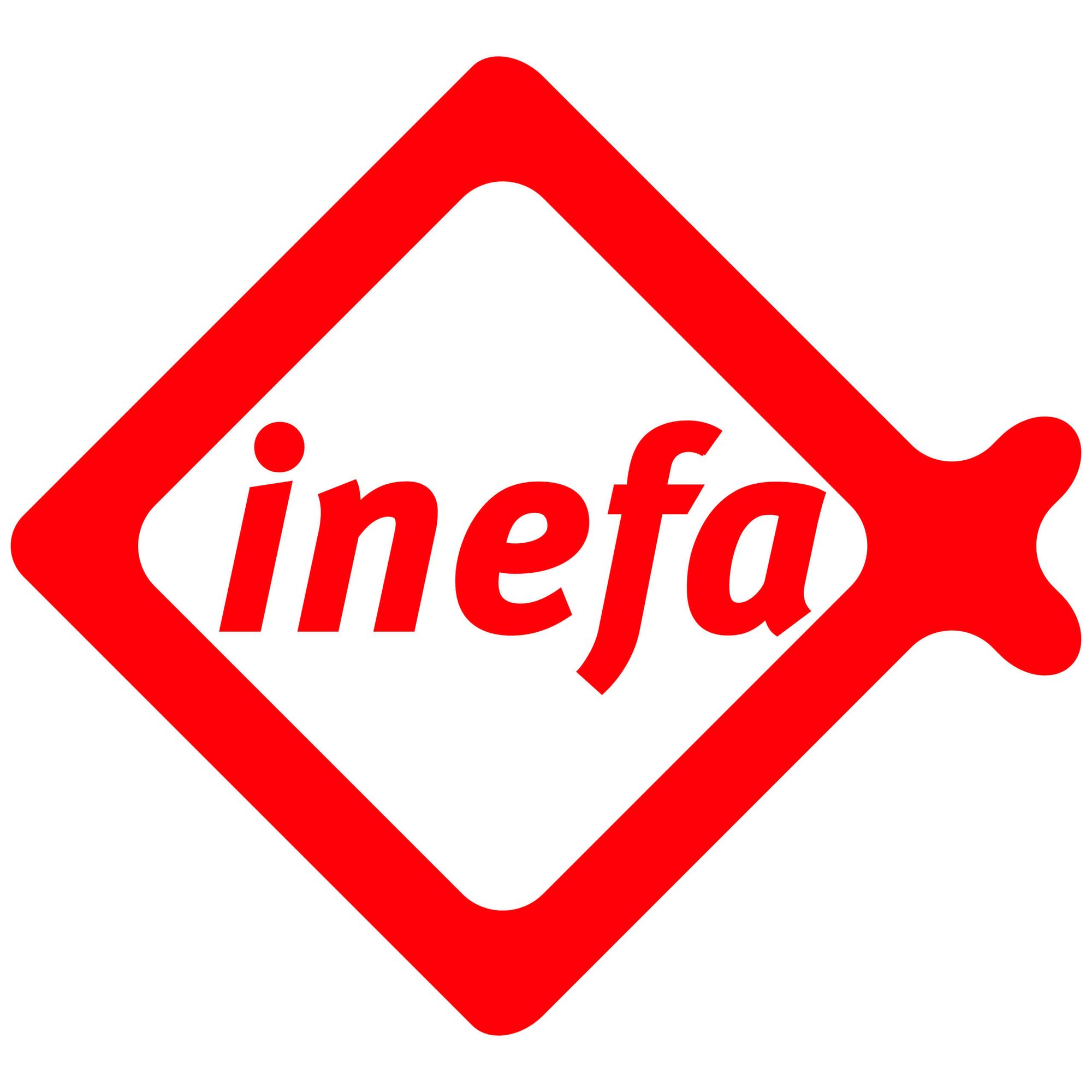 INEFA Collier de descente acier galvanisé 50/75mm x 80mm Argent - 6