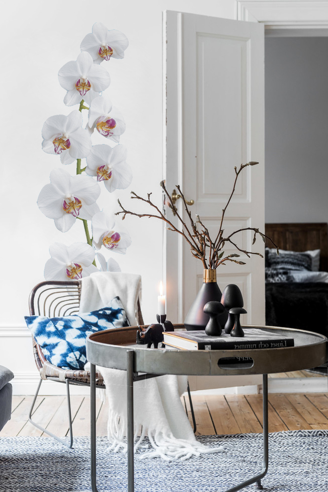 Pegatina decorativa, foto de una flor de orquídea, 56 cm x 164 cm