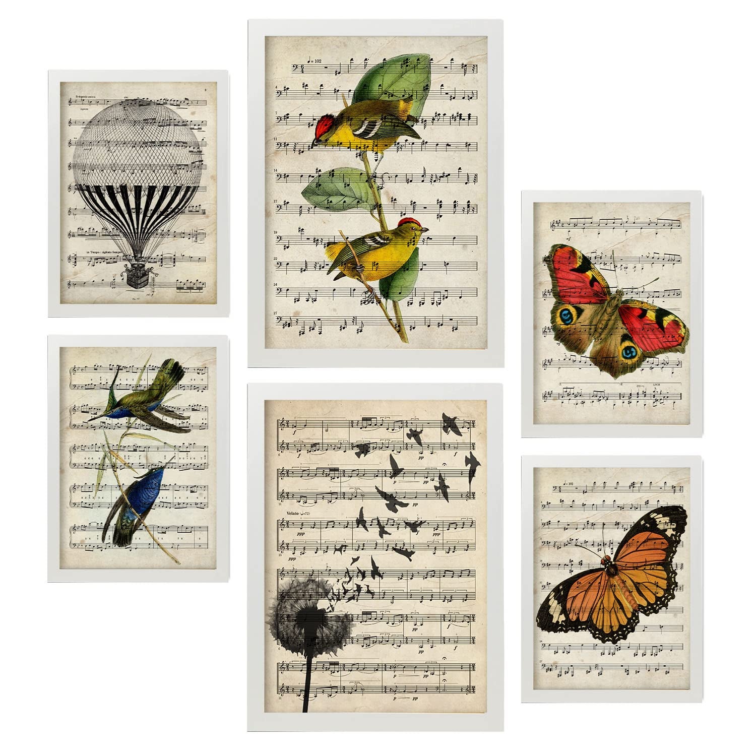 Nacnic posters de partituras ilustraciones estilo enciclopedia vintage con pájaros y mariposas naturaleza y vuelo para la a4 & a3 marcos blanco