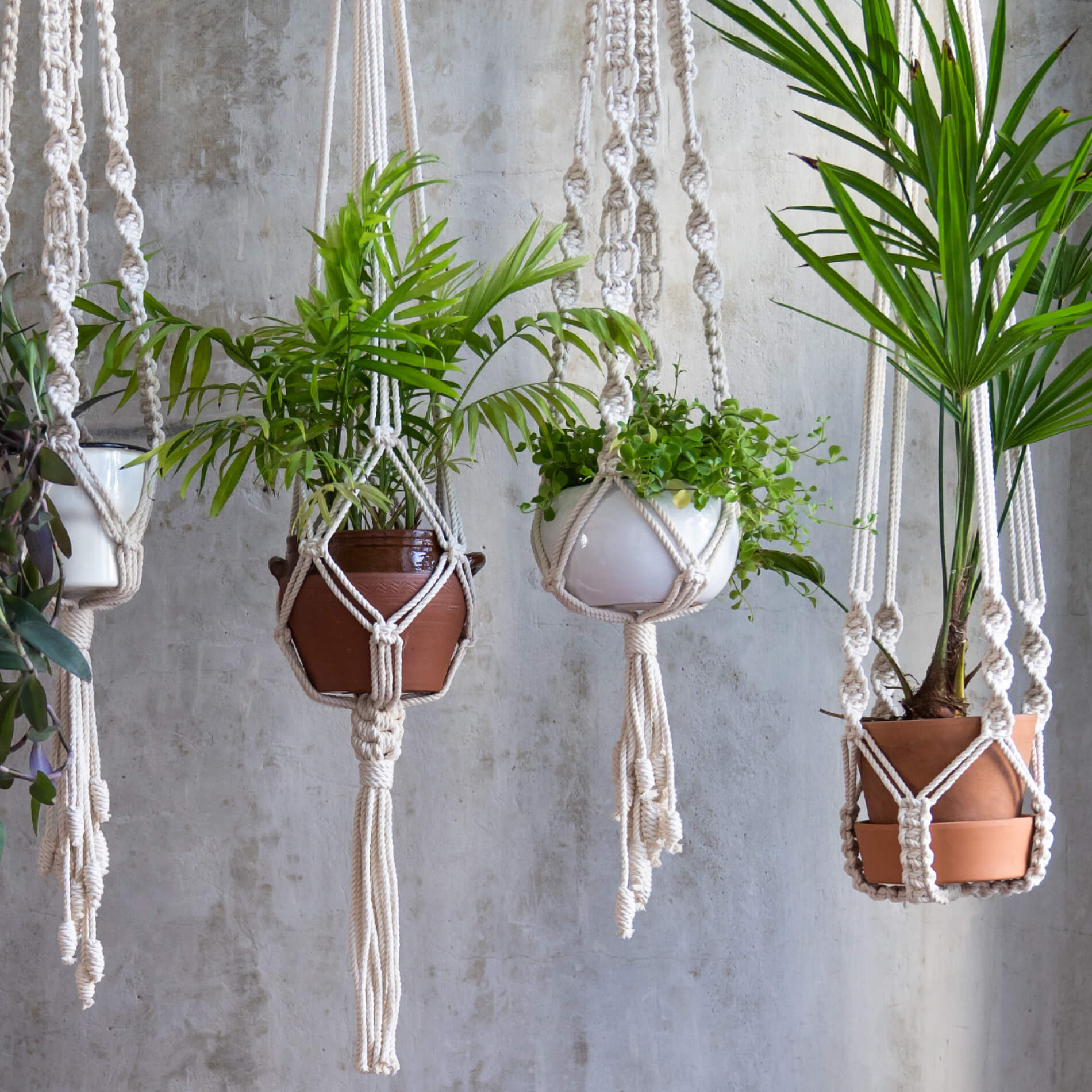 Soporte para Macetas de Pared Rebecca Mobili Filodendro 150x25x25