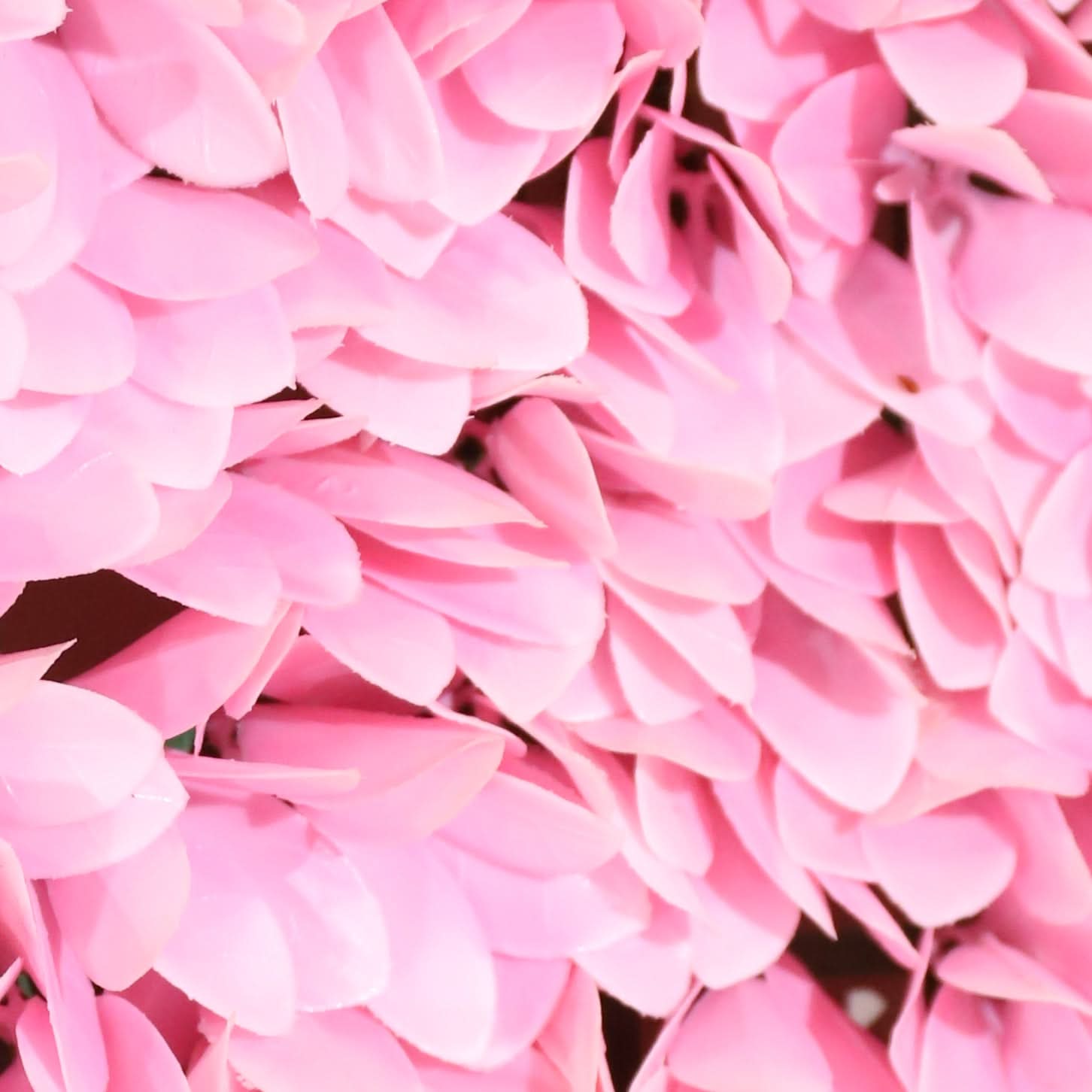 Jardin vertical artificiel Romance Rosa 100 x 100 cm | Naturing Monde - Pour intérieur et extérieur - Matériau PEHD - Garantie UV 5 ans - 9
