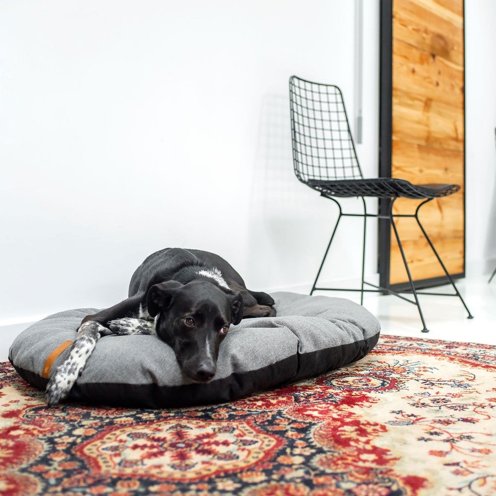 Pemea - Coussin chien gris clair, doux et moelleux, 94x68x15cm | Leroy ...