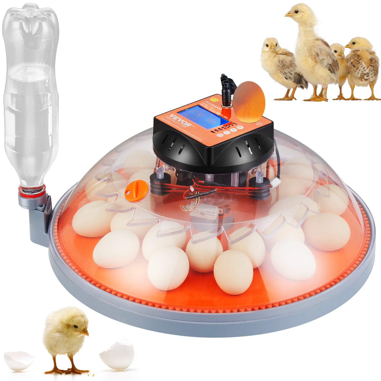 Incubateur Automatique 24 Œufs - 50W - Avec Rotation Et Contrôle De Température