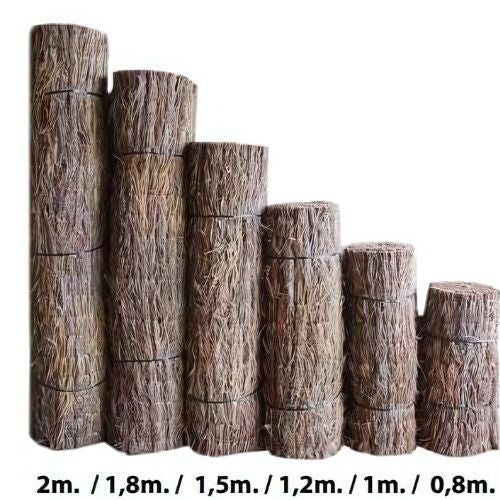 Bruyère avec 100% de dissimulation, 1,50 x 3,00 m (hauteurx longueur) - 4