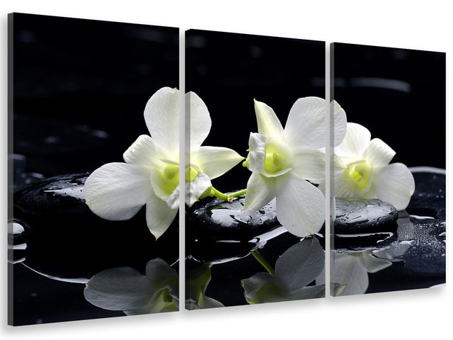 Declina, quadro decorativo, decorazione da parete per soggiorno, quadro