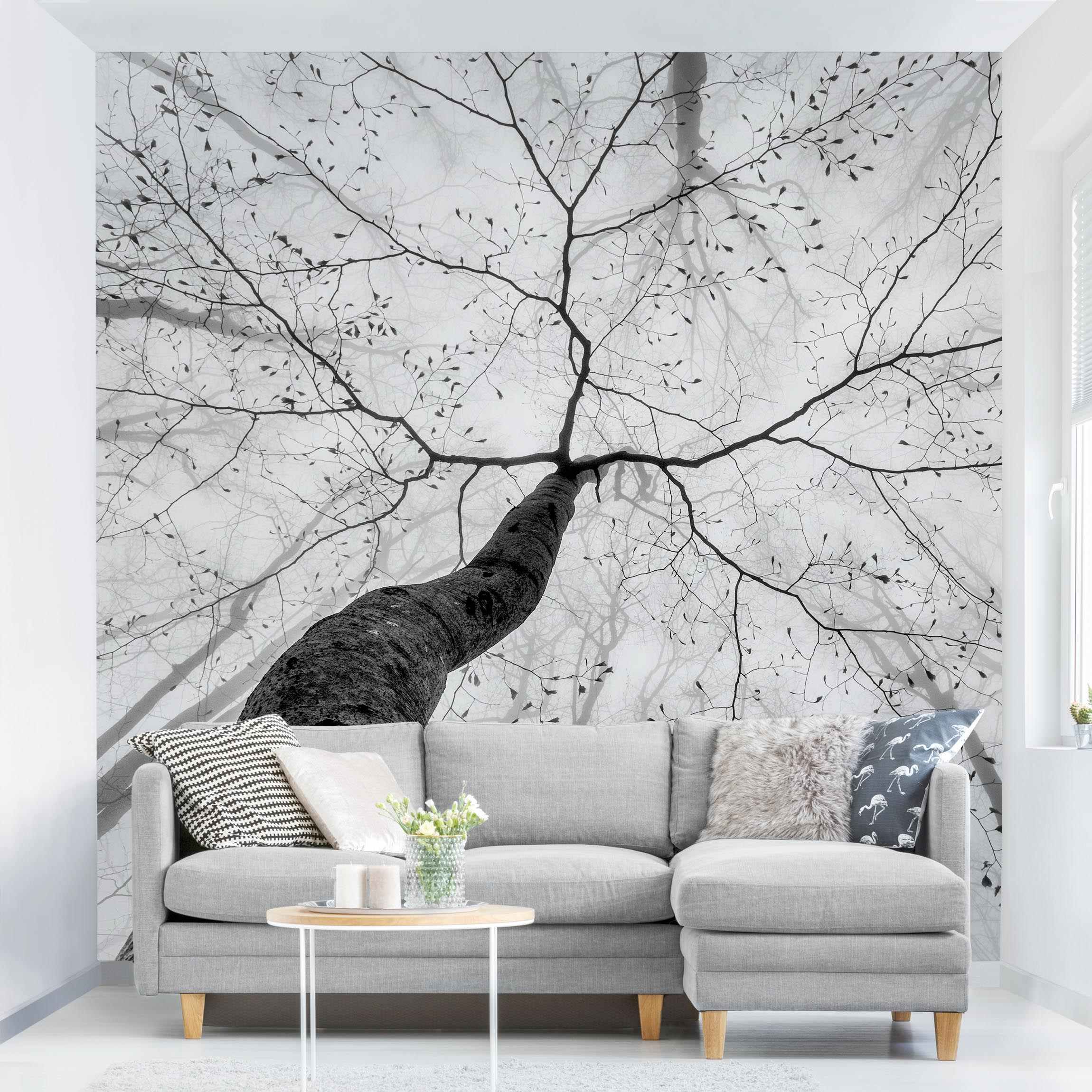 Papel pintado fotomural bosque naturaleza blanco y negro cielo 240 - salón dormitorio cocina pasillo - tnt 192 x 192 cm adhesivo