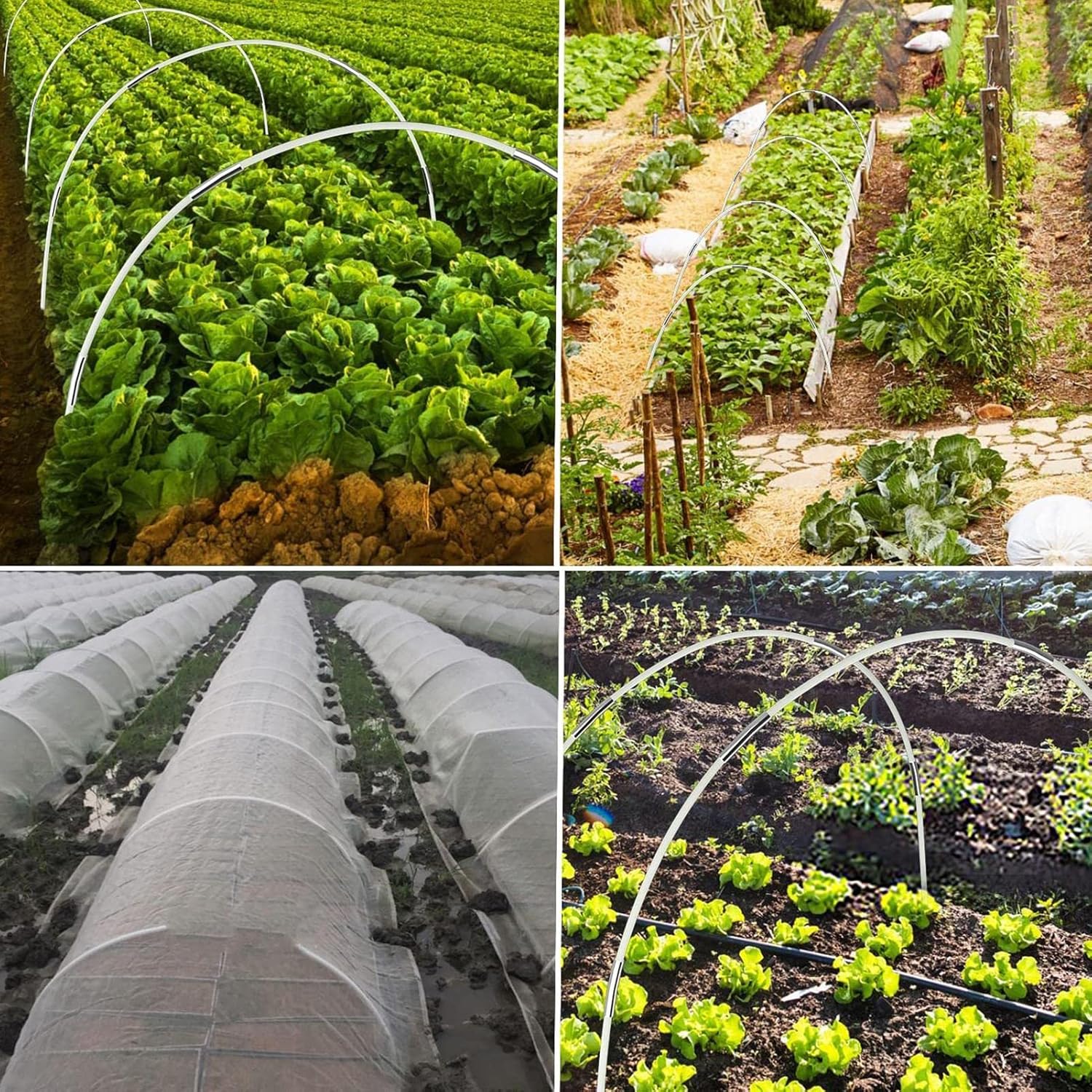 Kit de 30 Arceaux Serre Tunnel – Cerceaux Jardin en Fibre de Verre pour Culture Légumes & Protection - 4