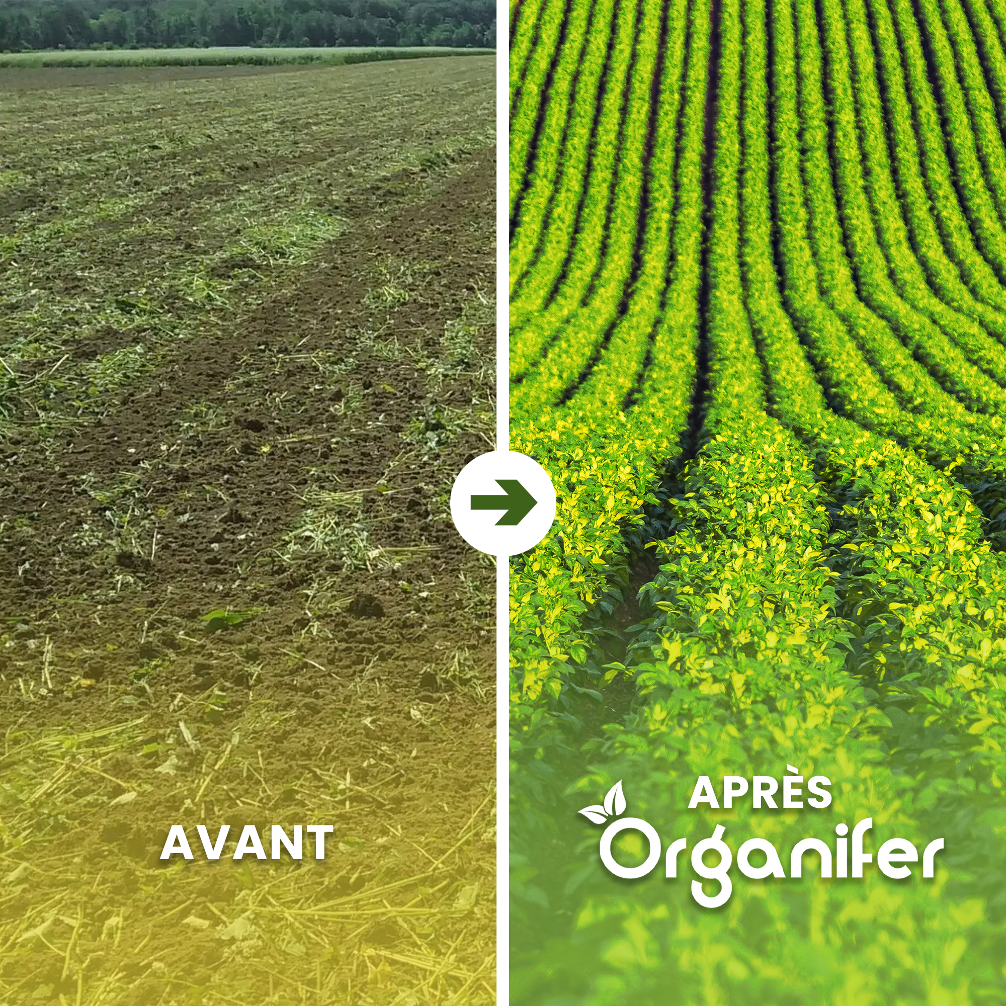 Compost De Vers - Vermicompost - Grand Sac De 1500 Litres Pour 1500M2 - Organifer - 2