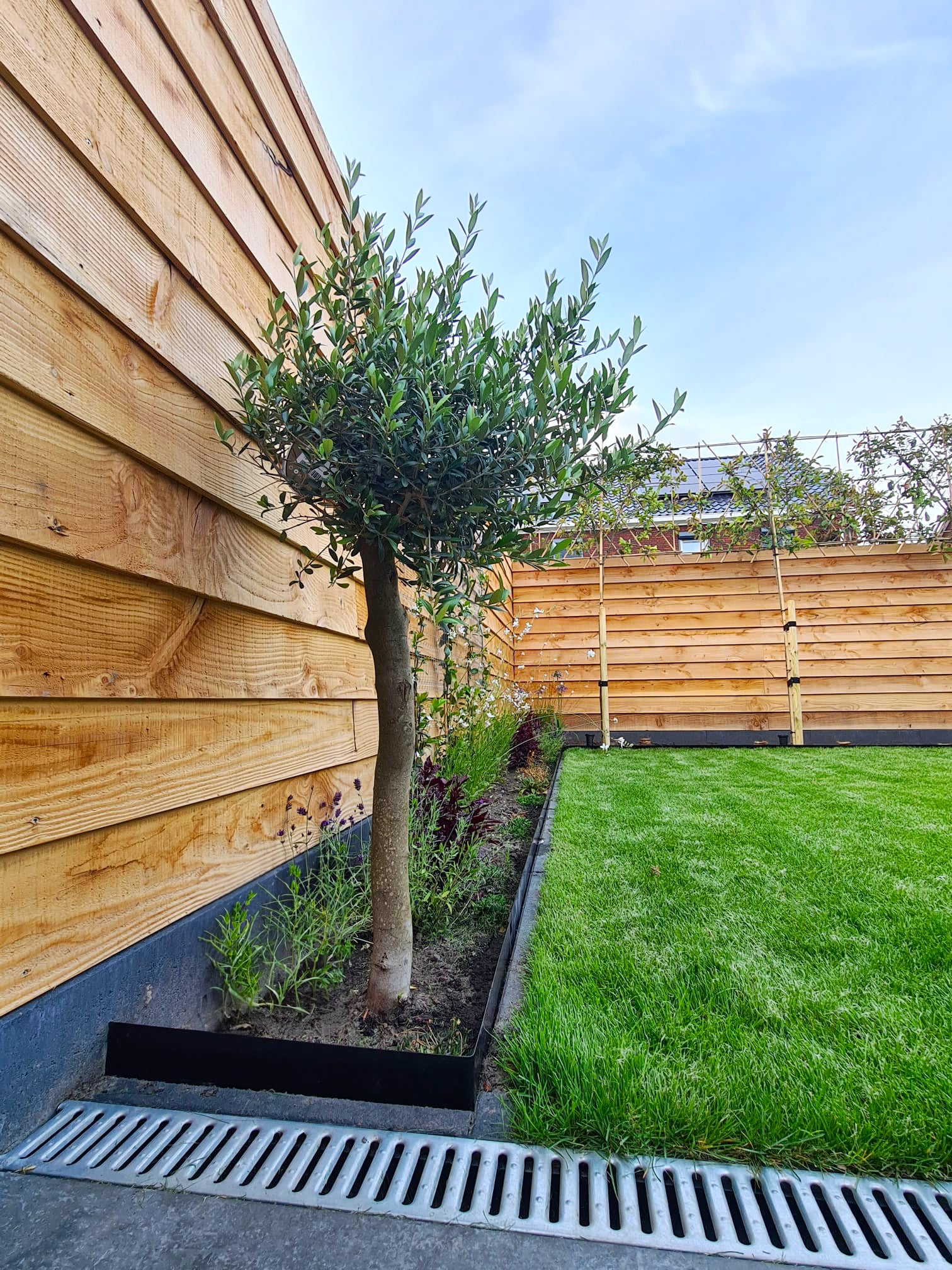 Wovar Bordure de jardin en acier noir 16 x 106 cm Flexible - Par pièce - 5