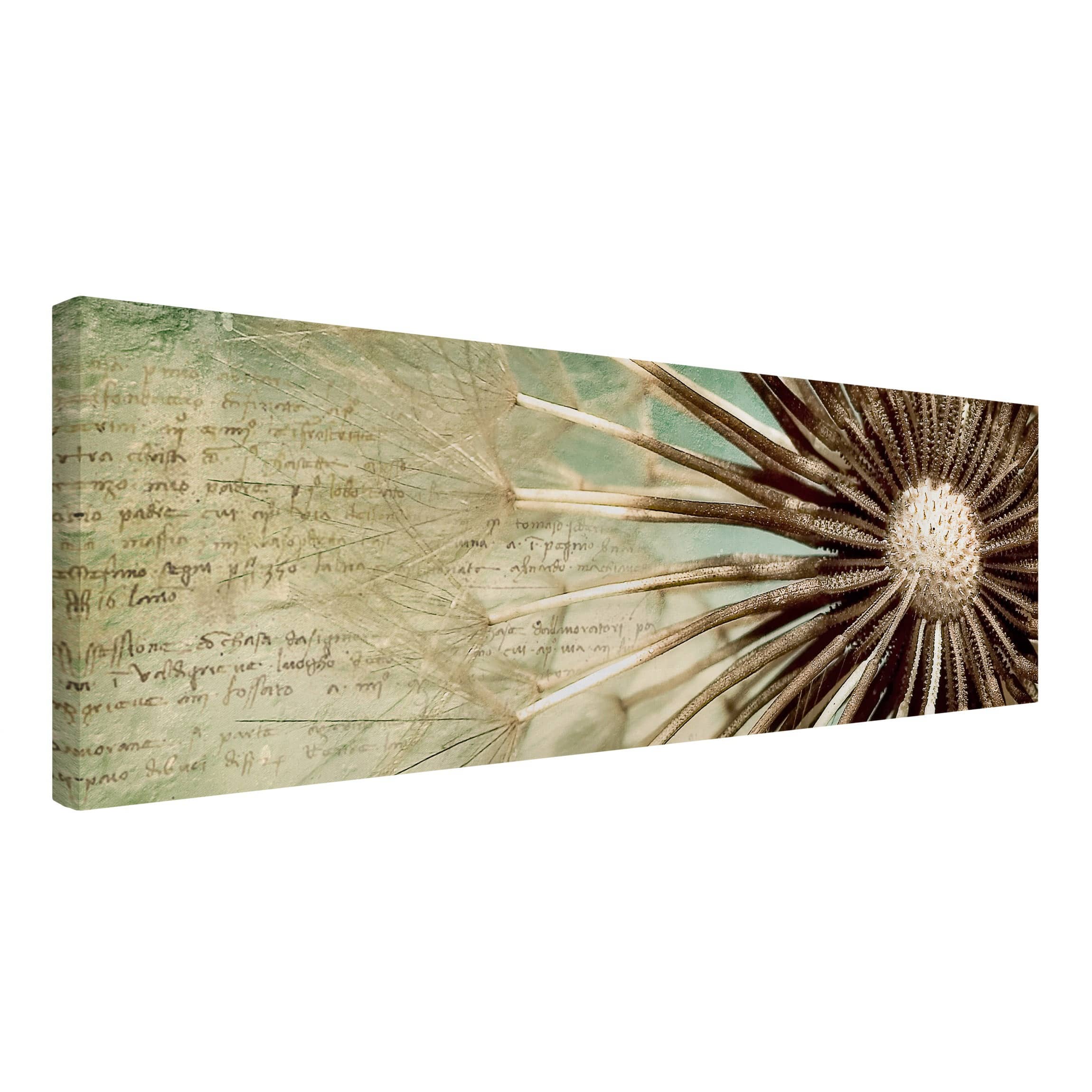 Impression sur toile tableau sur toile châssis beige botanique fleur pissenlit 31 cuisine chambre à coucher salon couloir 120 x 40 cm - 4