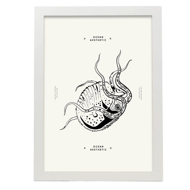 Affiche Avec Des Plantes Marines Et Des Animaux Une Pieuvre Sans But Illustrations Artistiques Pour La Décoration Intérieure A3 Avec Cadre Blanc