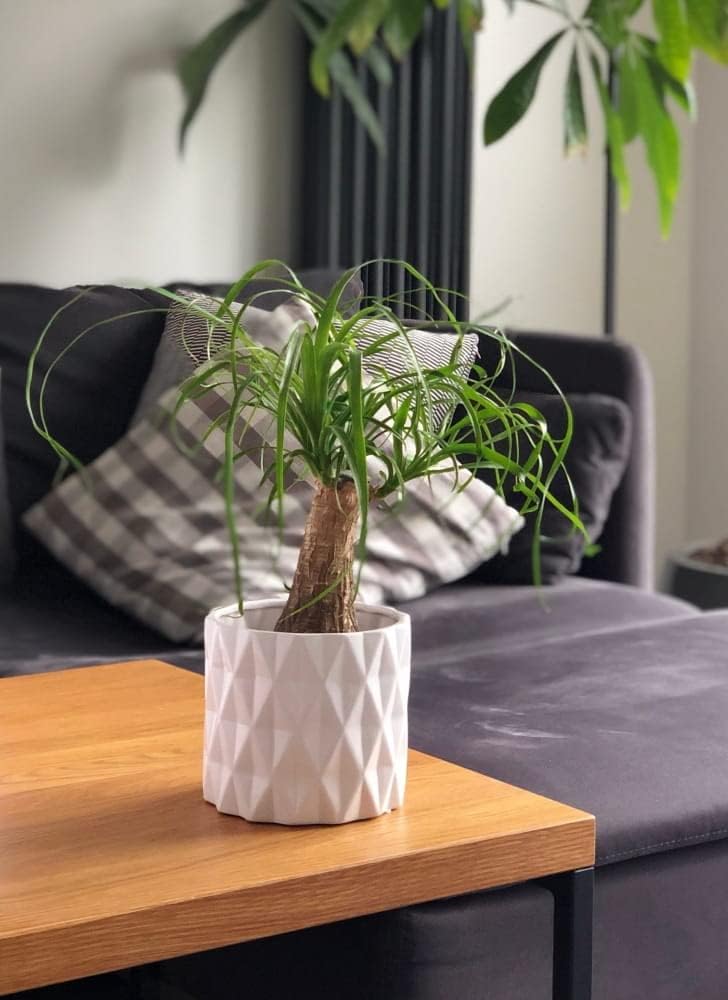 Donica doniczka osłonka ⌀12 cm biała ceramika szkliwiona dekoracja cylinder - KOTARBAU - 3