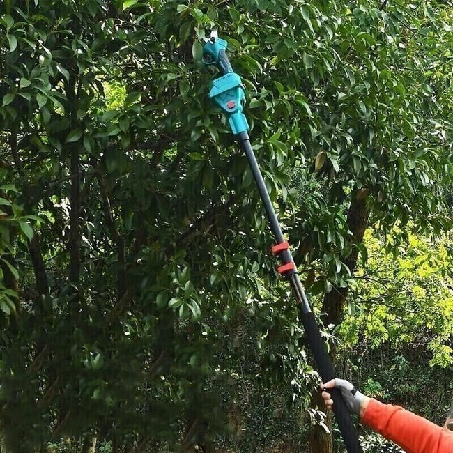 Mini Tronçonneuse 6" Et Sécateur Électrique 33mm AOKIA - Kit 4-en-1 Jardin Avec Perche Télescopique