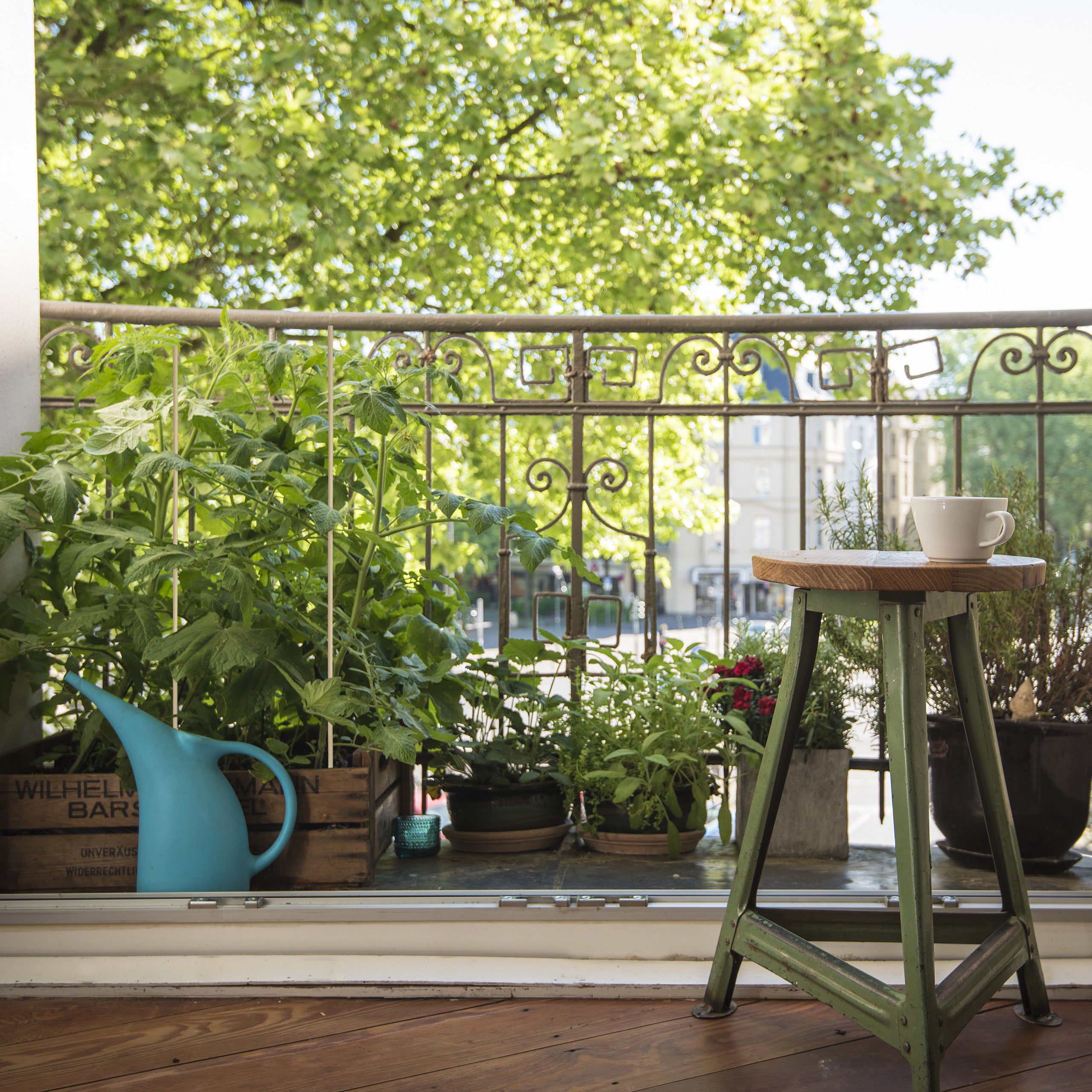 Plant_ES - Set di 12 tutori per piante da giardino, in fibra di vetro, con gambo singolo, 45 cm, per pomodori, gigli, peonie