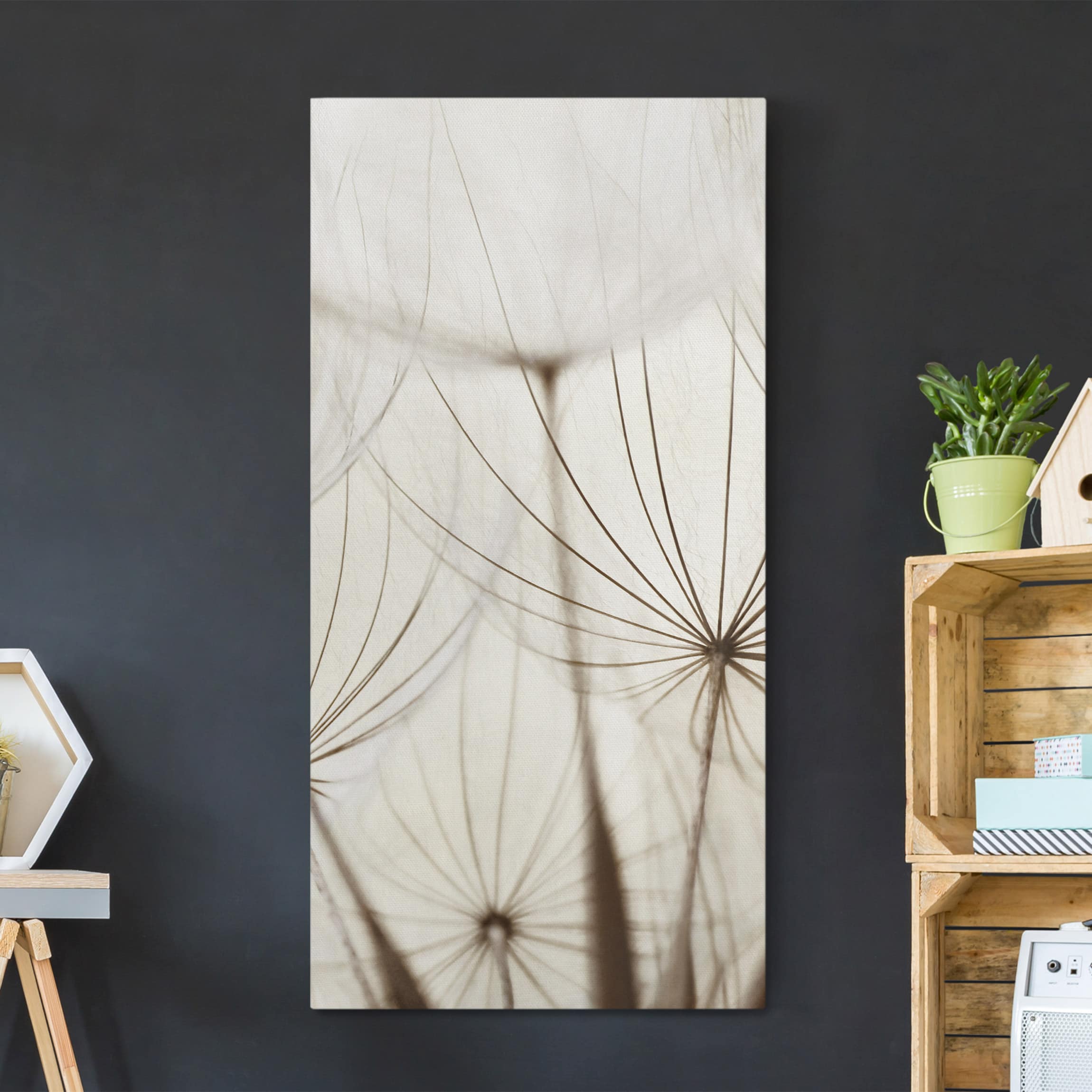 Lienzo cuadro en lienzo bastidor impresion en lienzo blanco botánica gramíneas fotografía 122 cocina dormitorio salón pasillo 30 x 60 cm