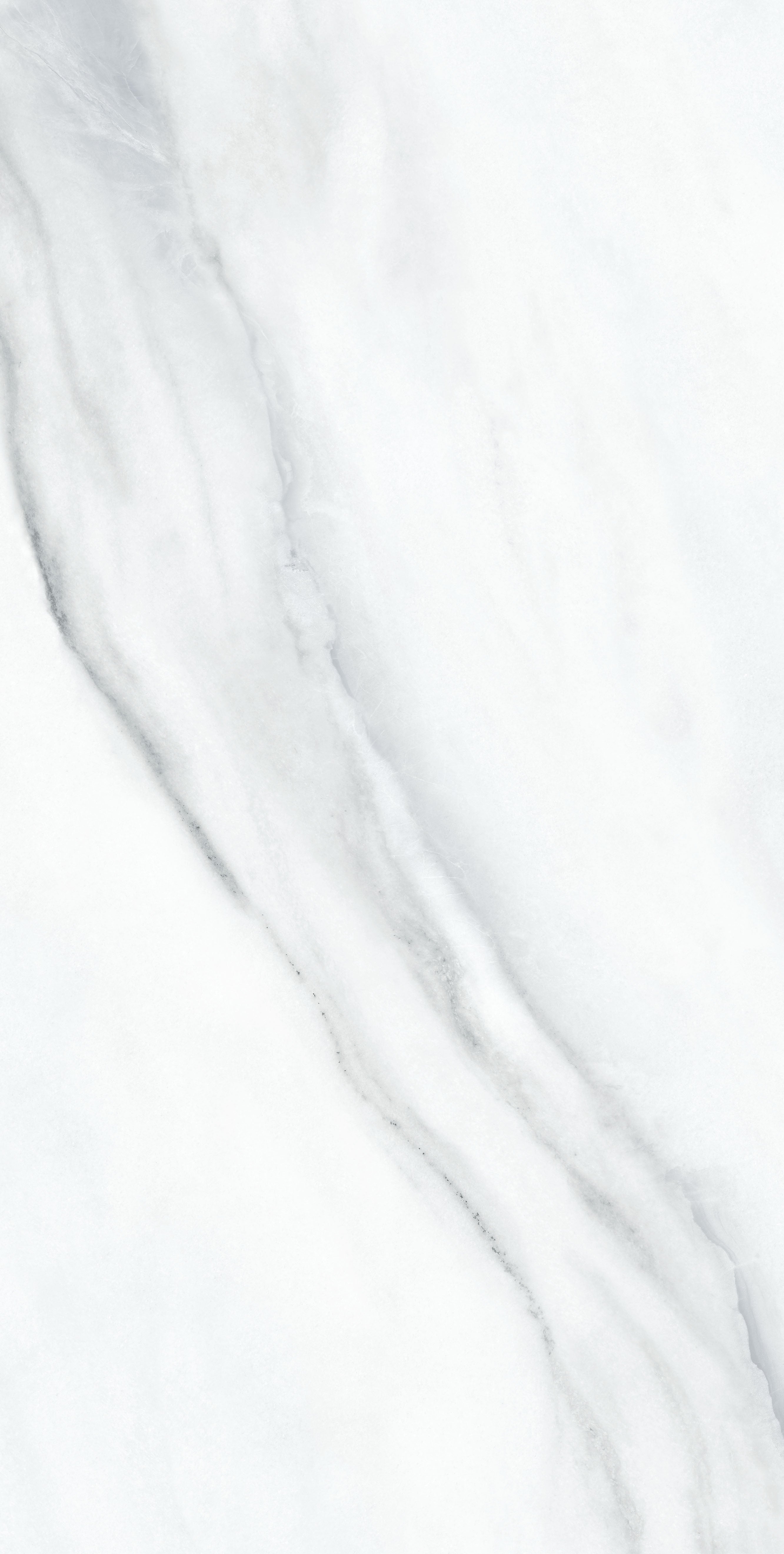 Carrelage sol/mur effet marbre blanc MARMAROS l.120 x L.60 cm MAJORCA TIFFANY - 3