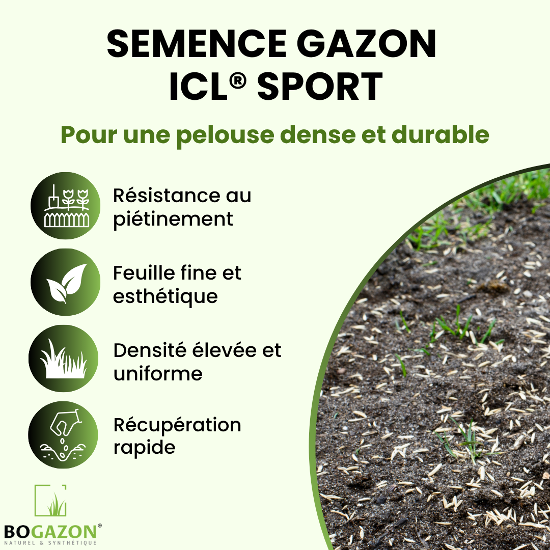 Gazon a semer ICL Sport 10 kg | Graines de Gazon Résistant Piétinement Terrain de Sport & Jardin | Semence Universel Dense et Uniforme - 2