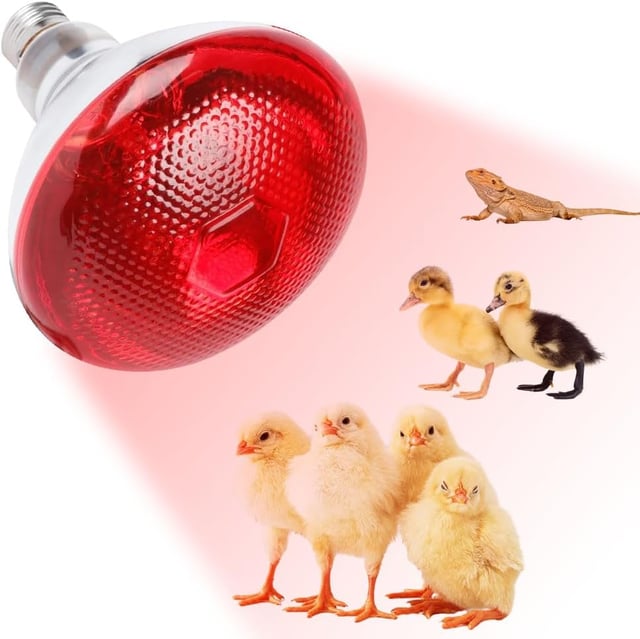 Lampe Chauffante Reptile, 250W Ampoules Chauffantes pour Reptiles, E27 Ampoule Infrarouge Chauffante, pour Chiot, Poussin,Tortue, Serpent, Hamster