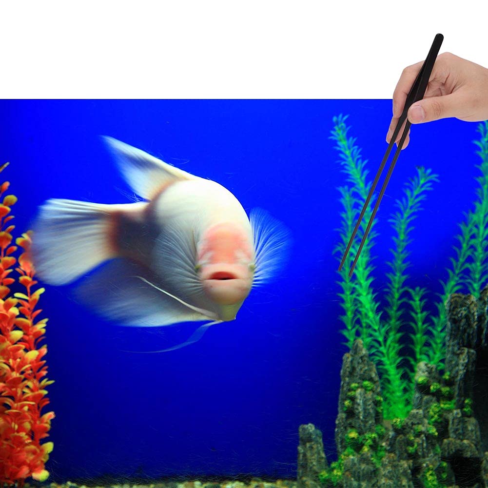 Pinces De Fixation Pour Aquarium – Lot De 2, Acrylique – Pour Maintenir Tuyaux D’eau, Facile à Installer