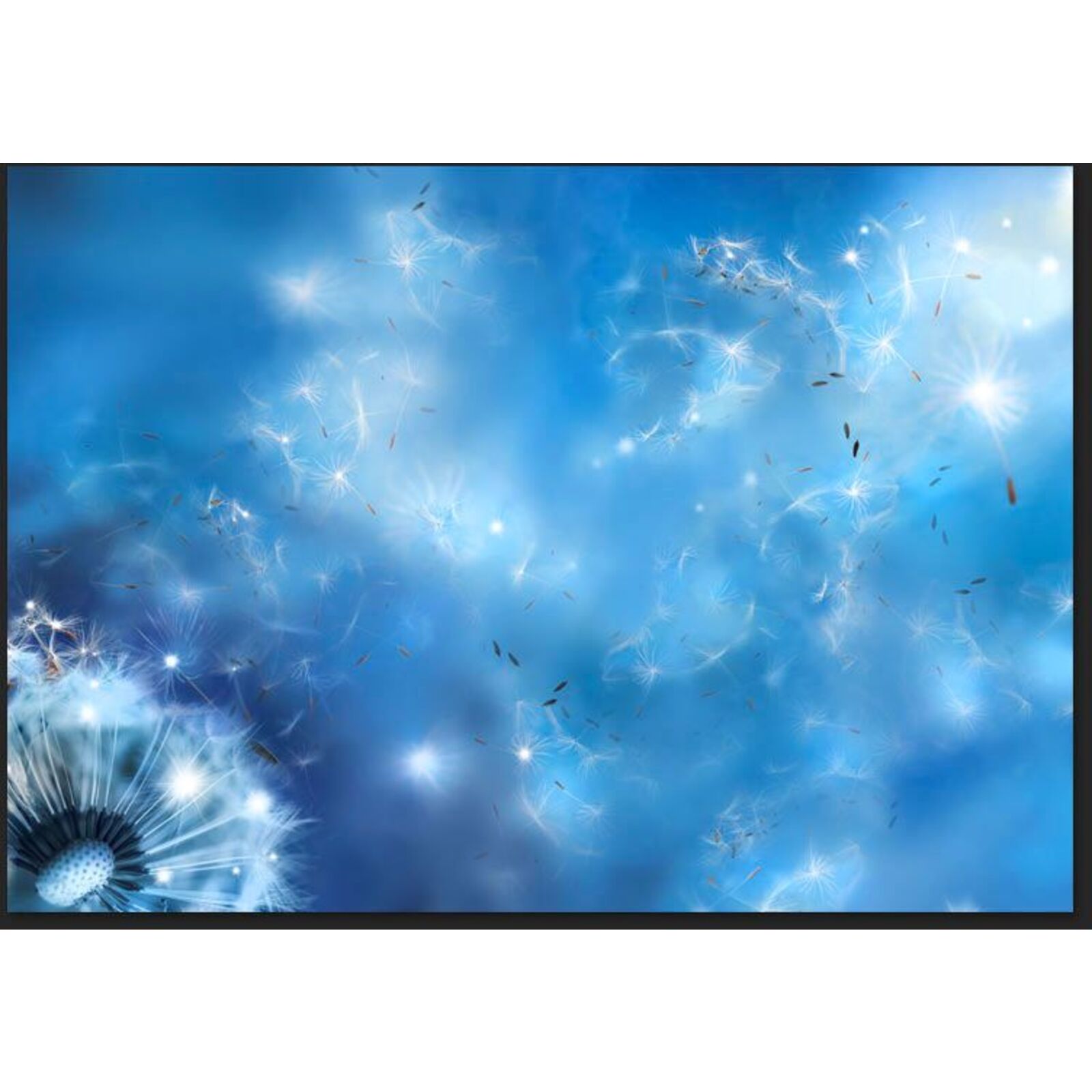 Papier peint magie de la nature - 350 x 245 cm - 2