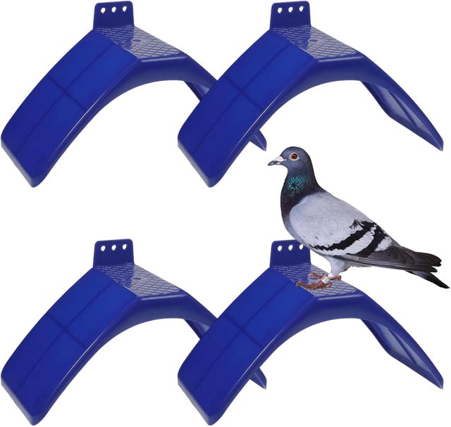 Casetta per uccelli - Mangiatoia per uccelli da finestra resistente alle intemperie, metallo - Acrilico - Esterno - Casetta per uccelli con doppio tetto | Forniture resistenti alle intemperie per l'os