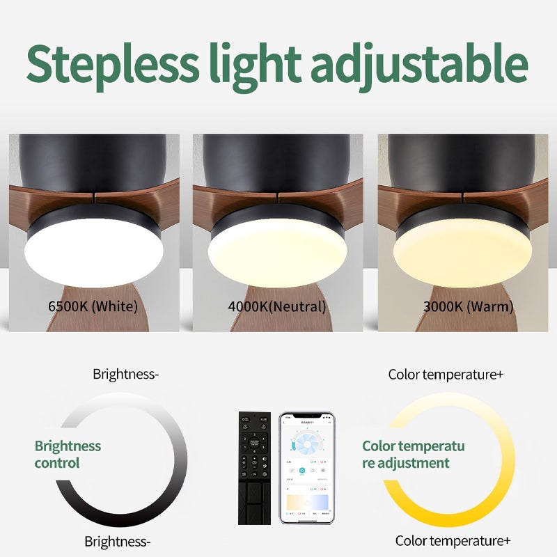 Ventilateur de plafond avec lumière, télécommande/contrôle par application, 6 vitesses de ventilation, minuterie, gradation continue (63 cm) - 5