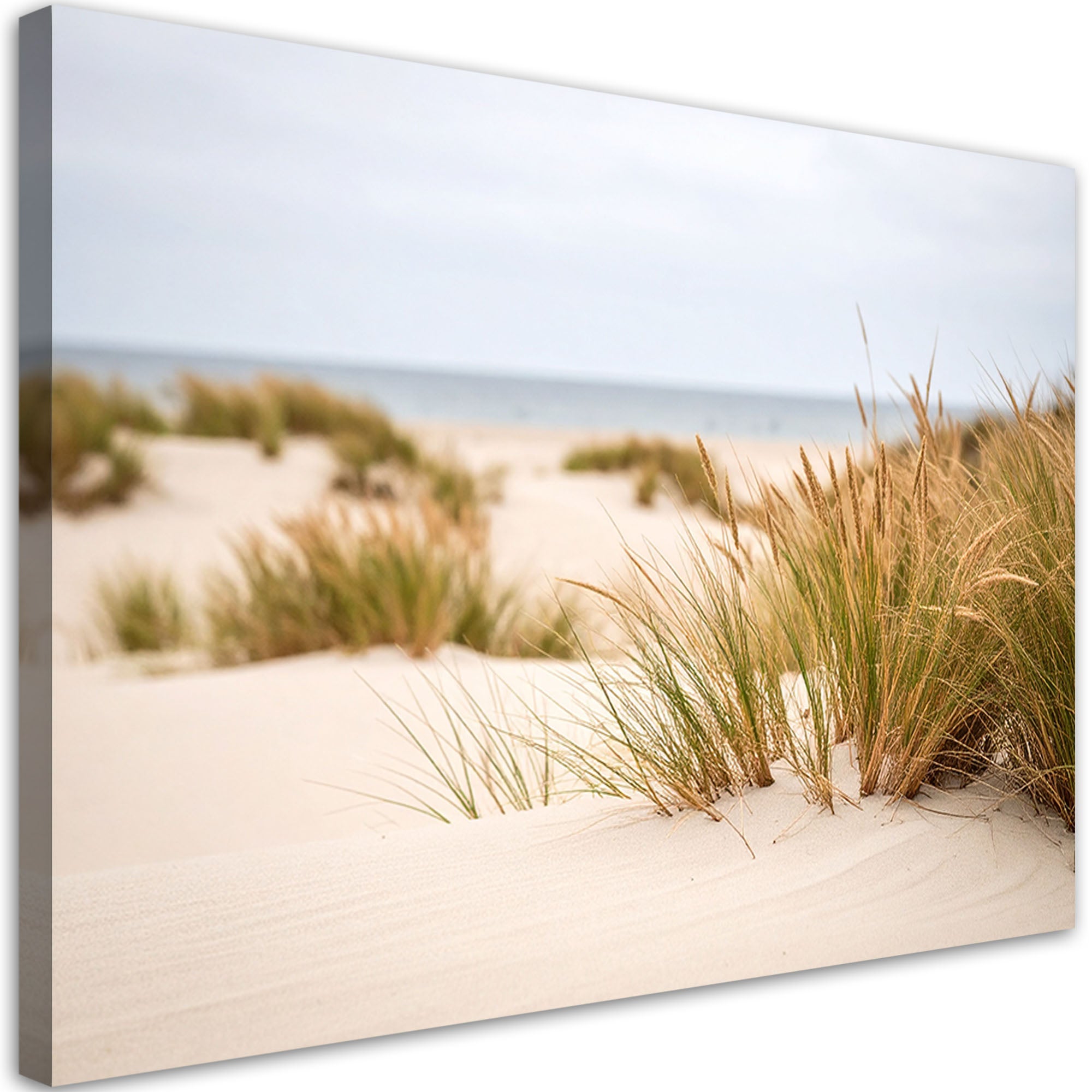 Obraz do salonu kuchni biura, Plaża morze rośliny wydmy natura 60x40