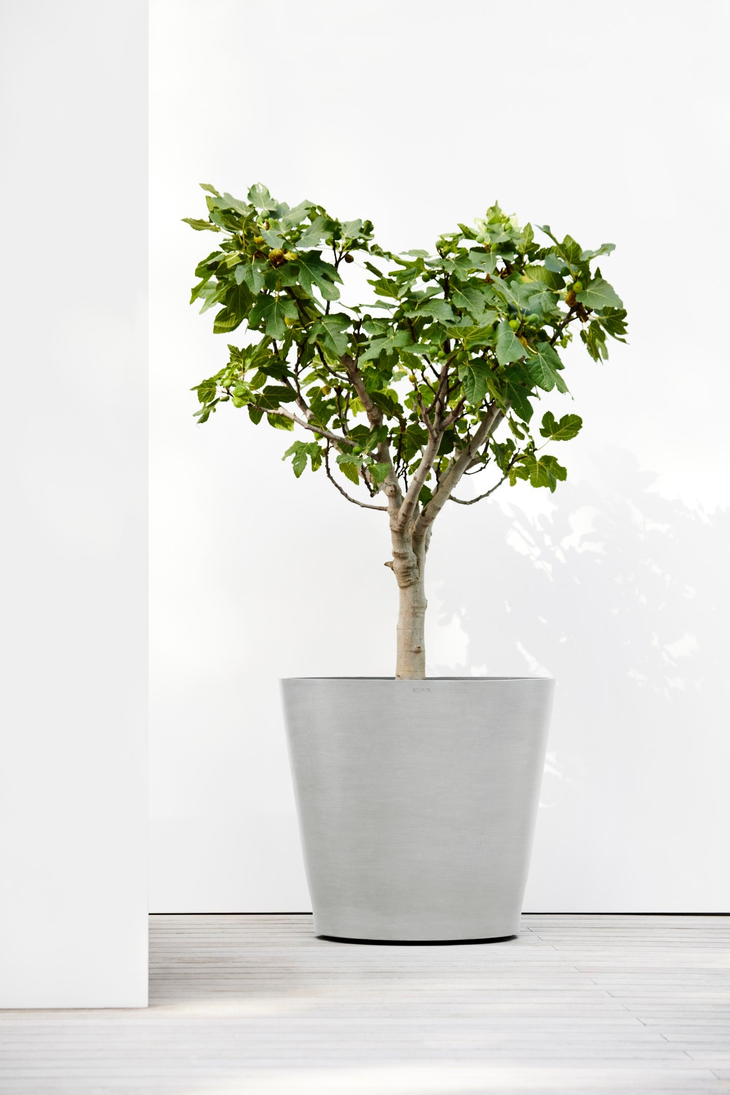Ecopots Sottovaso Quadrato 40 per Vasi da Fiori - L 35,5 cm x P 35,5 cm x A 3,5 cm - Grigio - Per Interni ed Esterni - 3