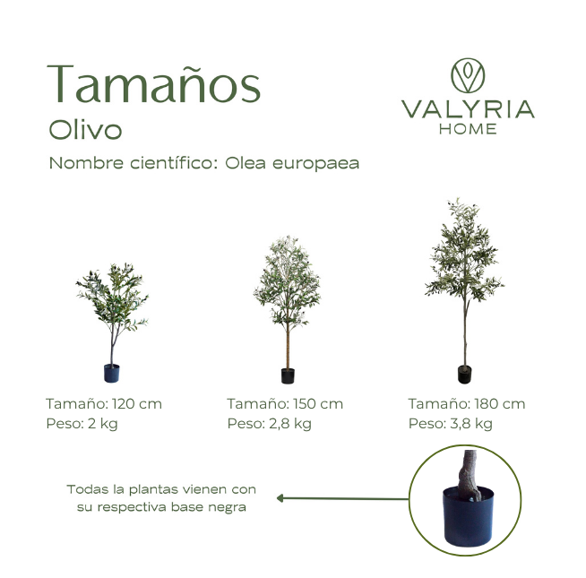 Planta Artificial Olivo 150 cm – Árbol Decorativo Estilo Mediterráneo y Realista - 8