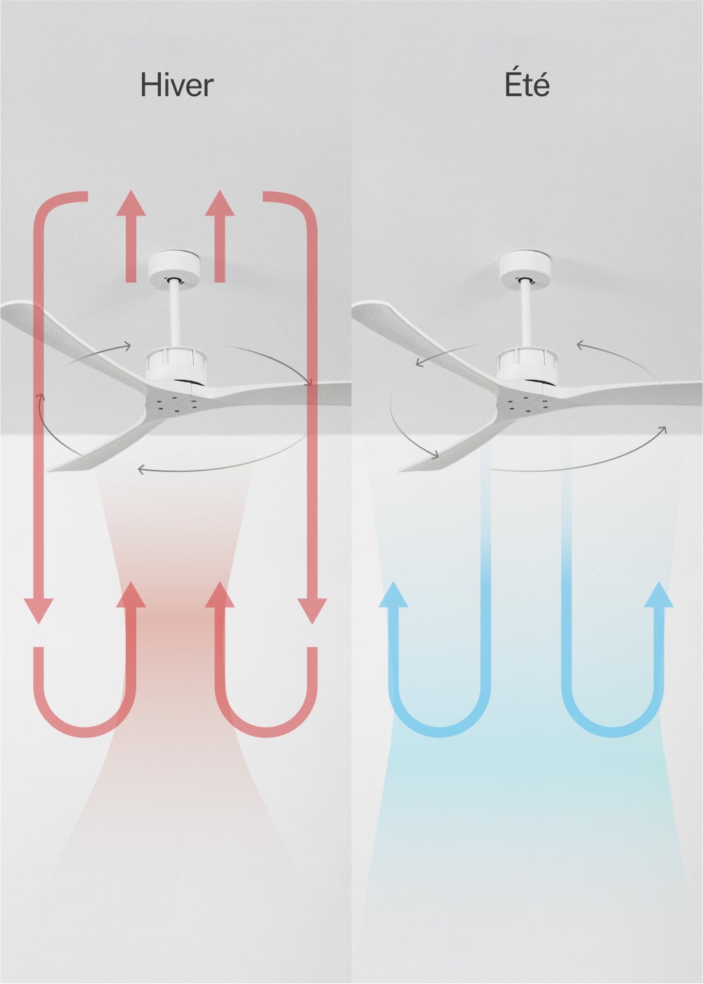 WIND LARGE DC - Ventilateur de Plafond 40W Silencieux XL Ø152 cm - Sans Lumière et Sans WIFI - 4