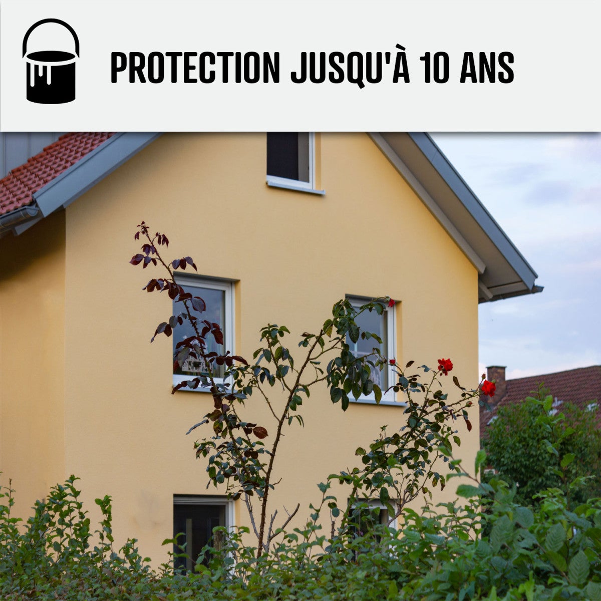 Pittura acrilica per esterni: per facciate esterne e stucco - ARCAFAÇADE RENOV - 5 x 10 L Tono Sabbia - RAL 085 90 20 - ARCANE INDUSTRIES - 7