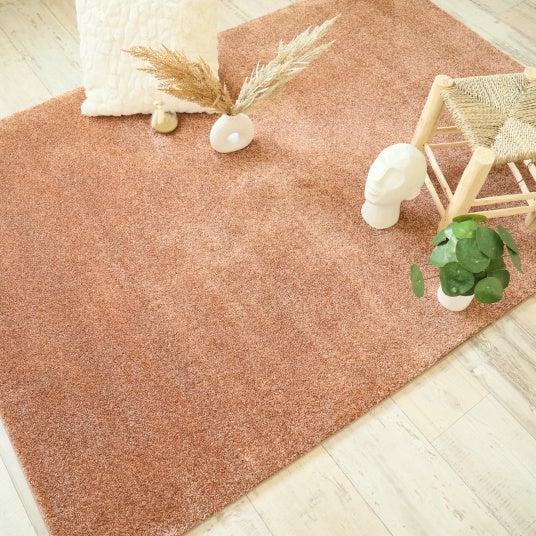 Tapis doux poils longs - Touch rose corail - Galon tabac - 250 x 350 cm - 2