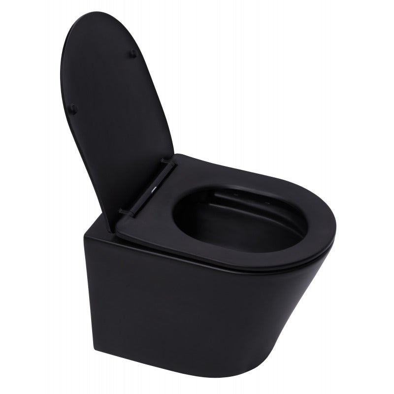 Abattant wc noir avec frein de chute best sale