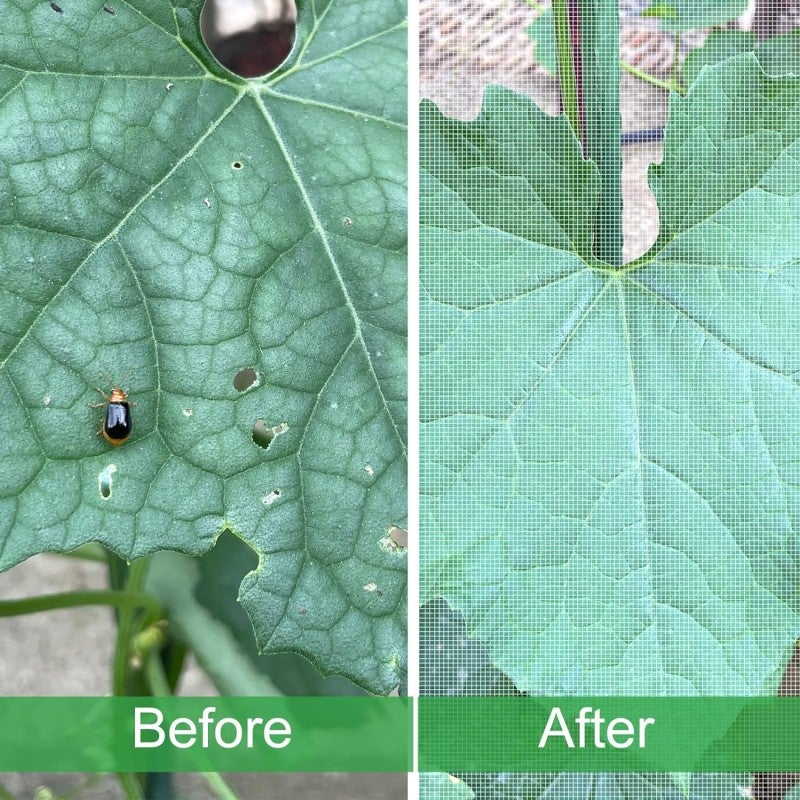 RETELNDIA - Rete Anti Insetto, protezione piante fiori frutti orto coltivazioni, m 4x10 - 3