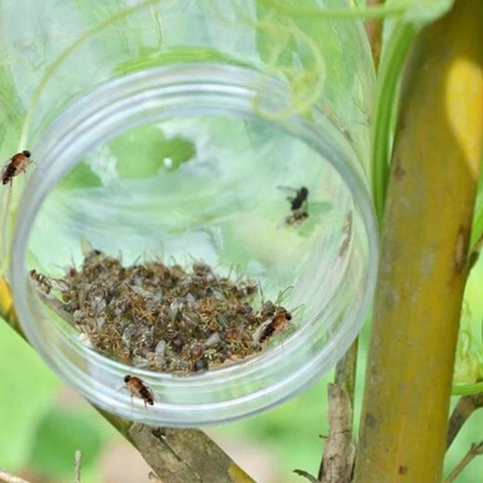 Trappole Per Moscerini Della Frutta 4 Pezzi A Forma Di Agrumi: Adesive E Sospese Per Cucina E Giardino - 4