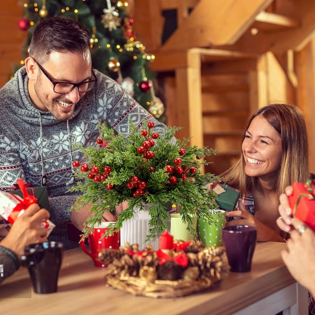Donfulily Confezione da 30 steli di cedro sintetico, rami di pino artificiale da 30 cm, ramoscelli di foglie di Natale, ramoscelli finti per vasi di Natale, fai da te, ghirlande, decorazioni per Donfulily Confezione da 30 steli di cedro sintetico, rami di pino artificiale da 30 cm, ramoscelli di foglie di Natale, ramoscelli finti per vasi di Natale, fai da te, ghirlande, decorazioni per