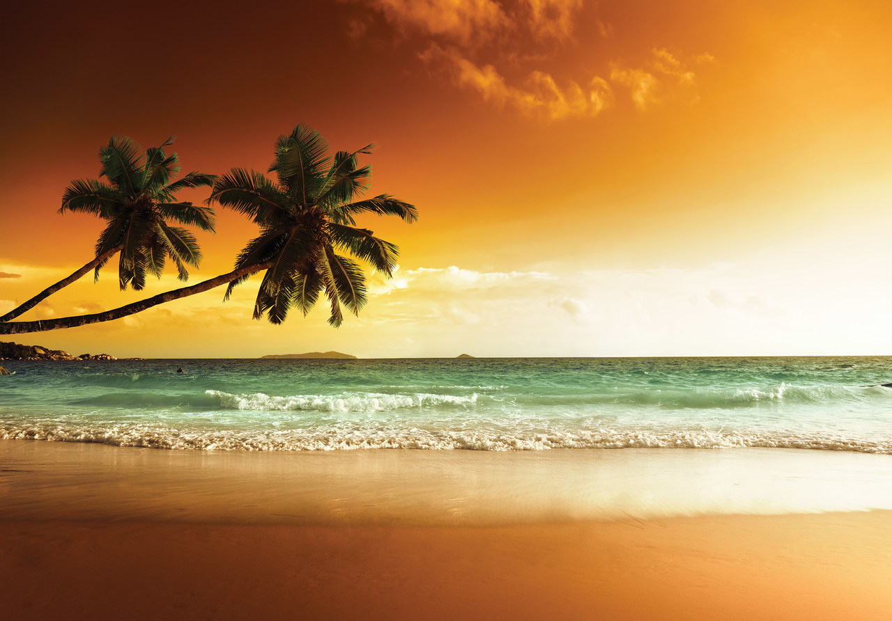 Papel pintado fotografia panorámica playa palmeras mar paisaje 368x254 cm - incluye cola - moderno salon dormitorio papel no tejido