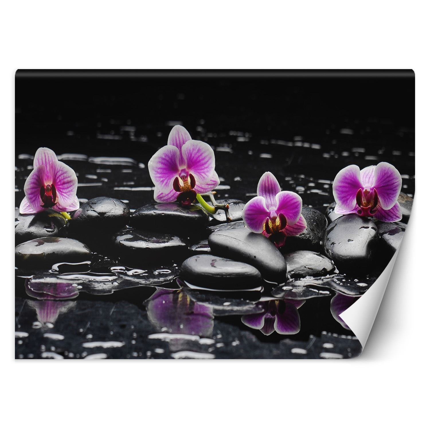 Fototapeta, Kamienie zen orchidea 450x315
