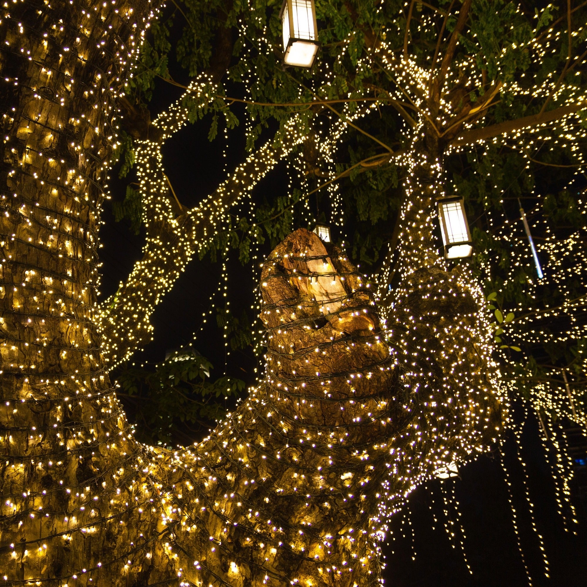 Guirlande solaire YOGY WARM 200 LED 16.3M - 4