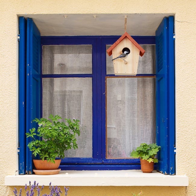 Spetebo Casetta Per Uccelli In Legno Con Muschio - Decorazione Da Giardino O Porta - 22,5 X 15 X 11 Cm