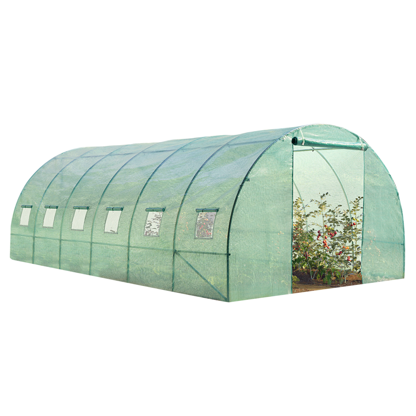 Serre tunnel de jardin 18m² verte gamme maraîchère CRIMÉE 6x3m - 2